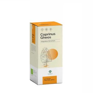 coprinus-gheos