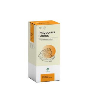 polyporus-gheos